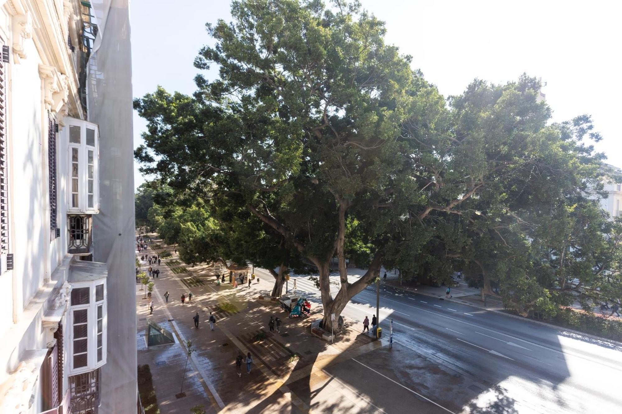 דירות מאלגה La Casa De La Alameda מראה חיצוני תמונה